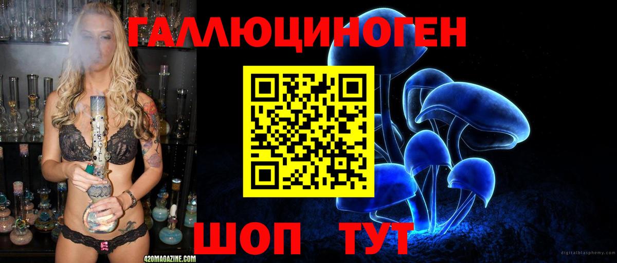 Псилоцибиновые грибы Cubensis Новоуральск